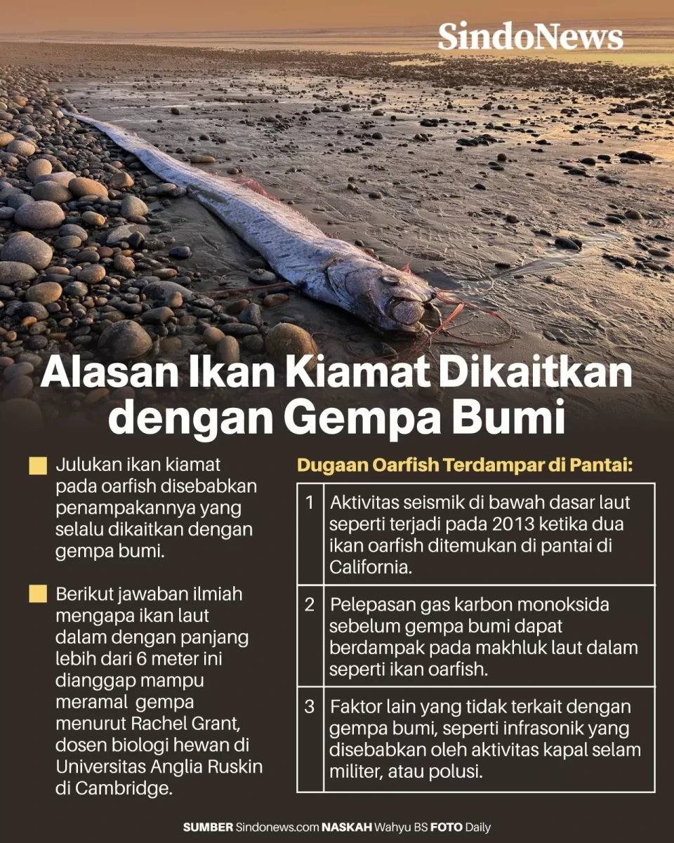 Oarfish, Ikan Kiamat...