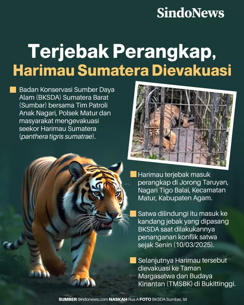 Terjebak Perangkap,...
