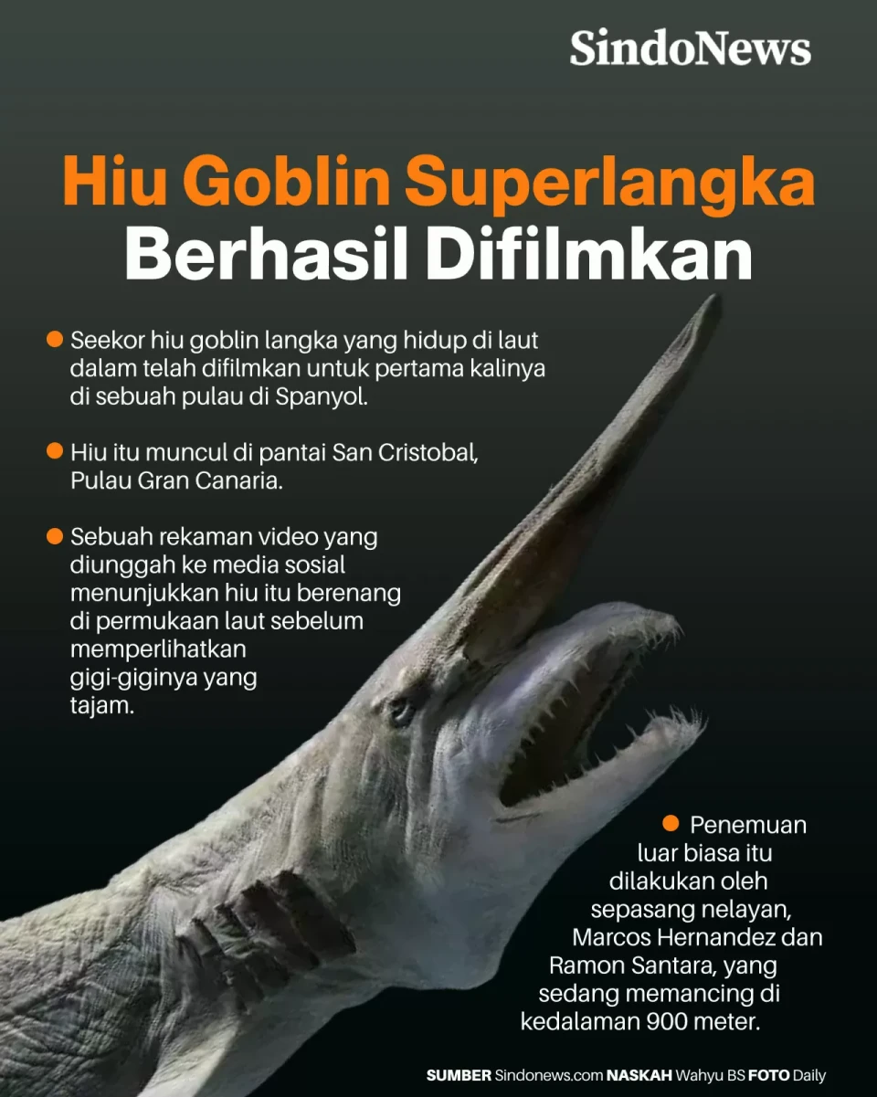 Hiu Goblin Superlangka...