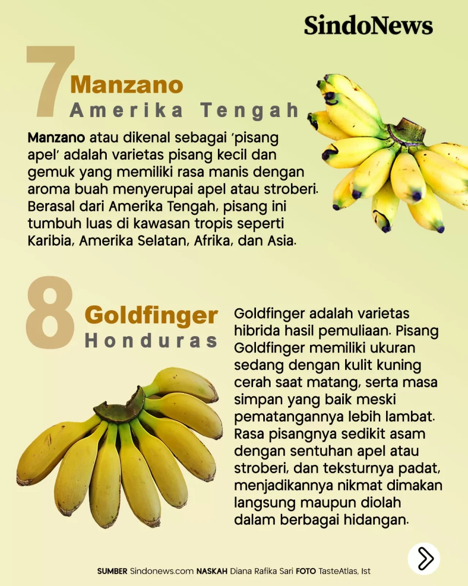 12 Jenis Pisang Terbaik...
