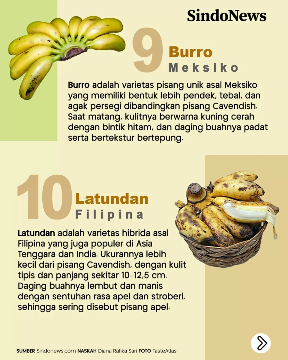 12 Jenis Pisang Terbaik...