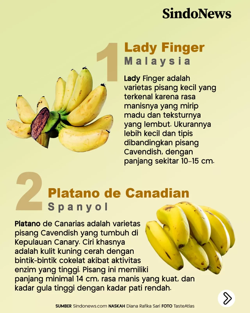 12 Jenis Pisang Terbaik...