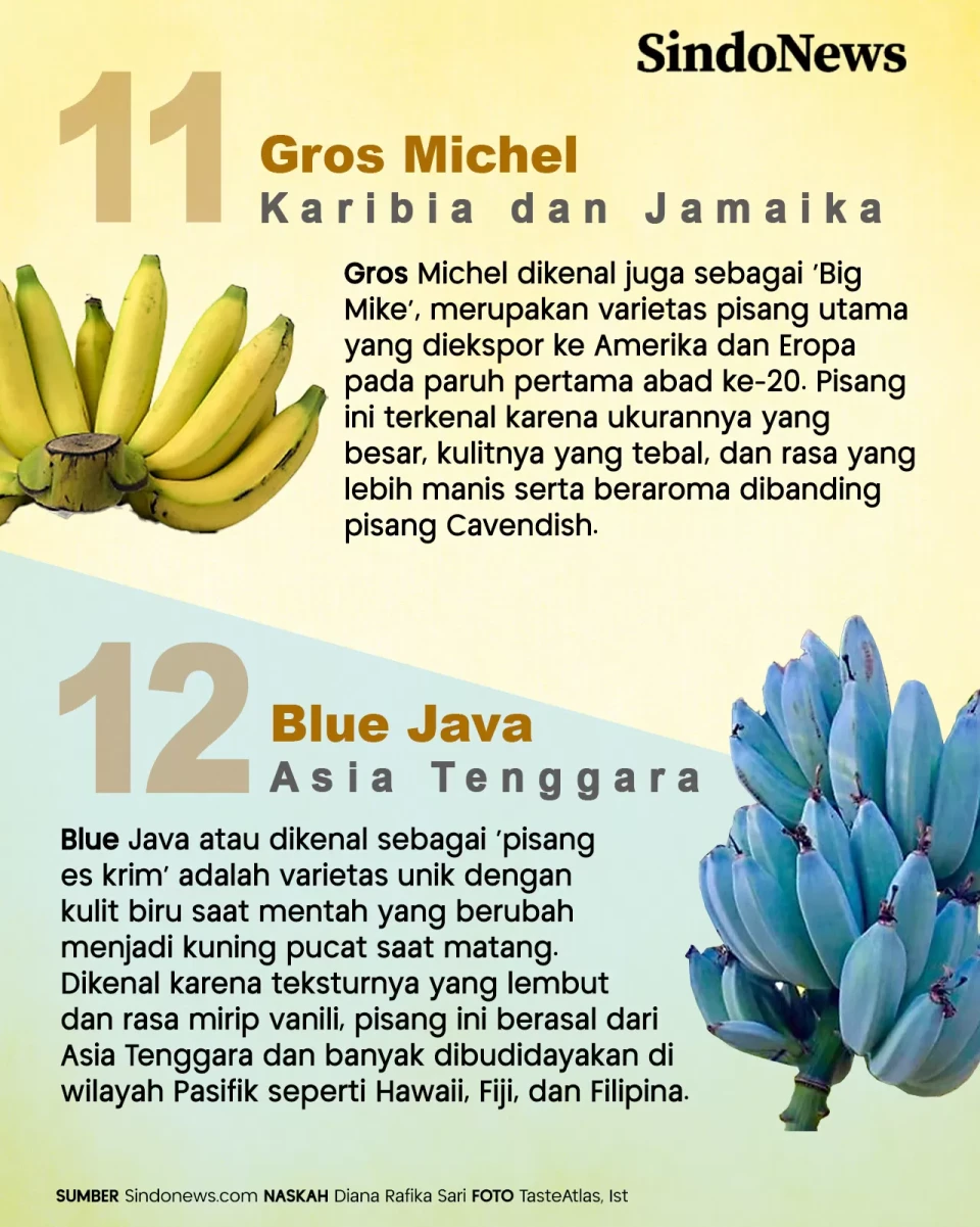12 Jenis Pisang Terbaik...