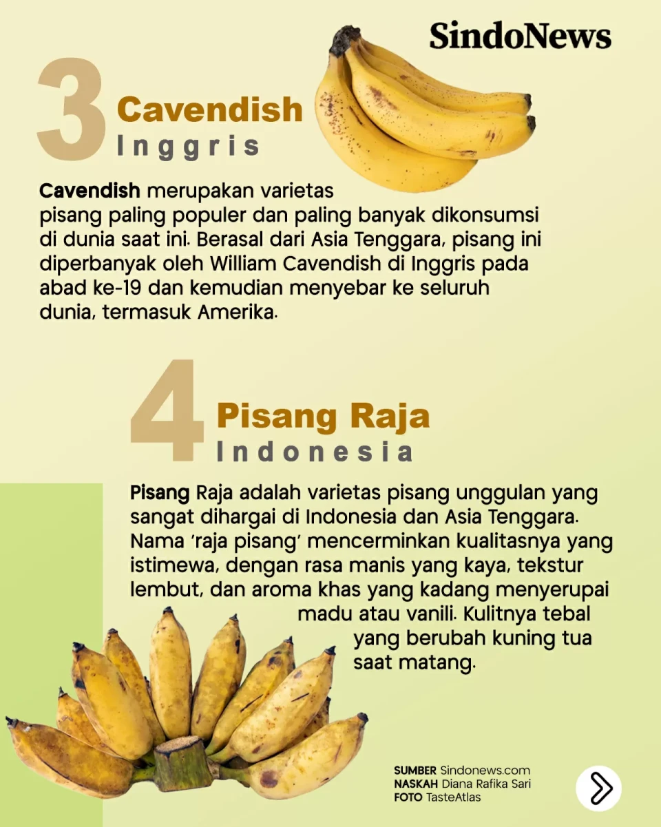 12 Jenis Pisang Terbaik...