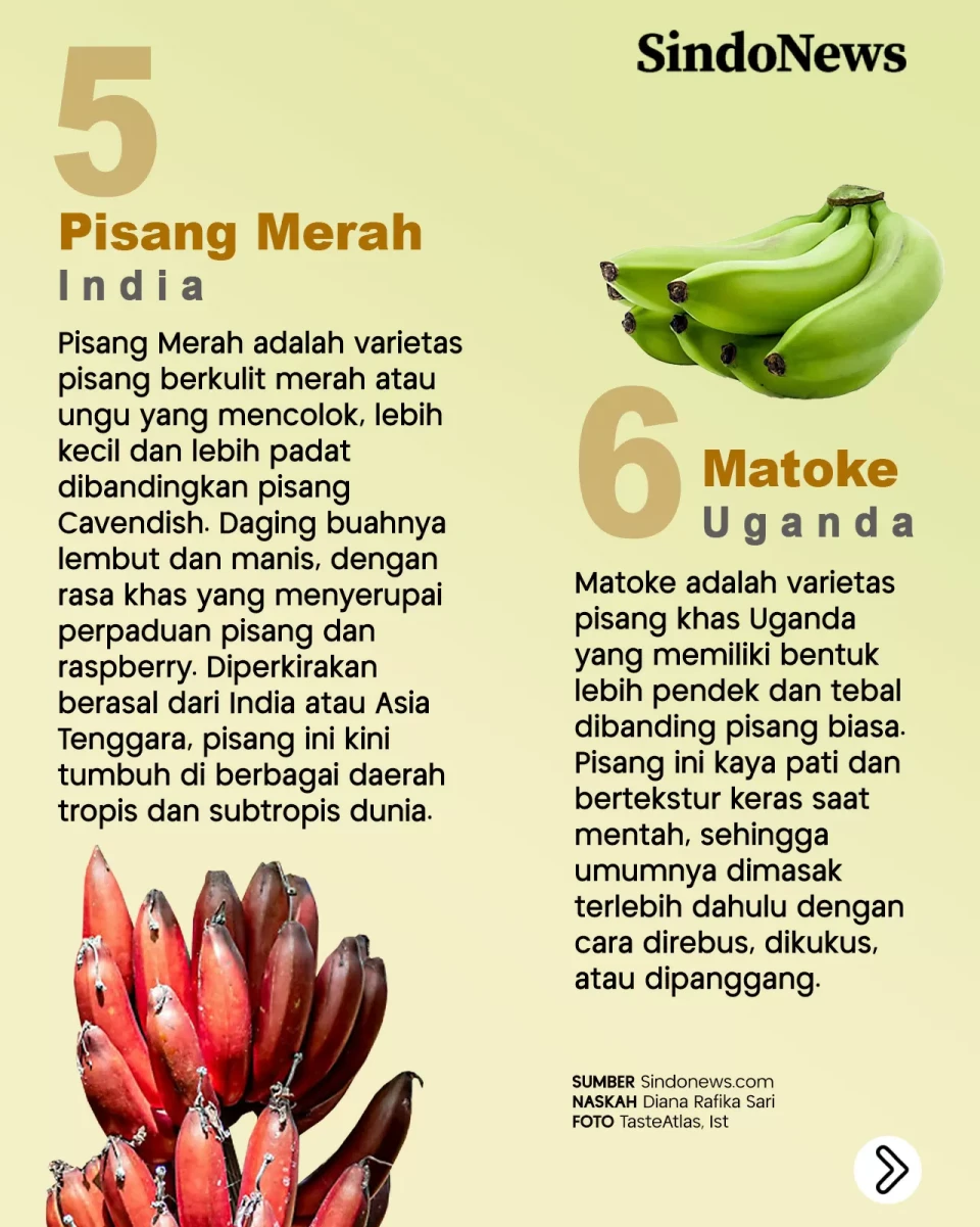 12 Jenis Pisang Terbaik...