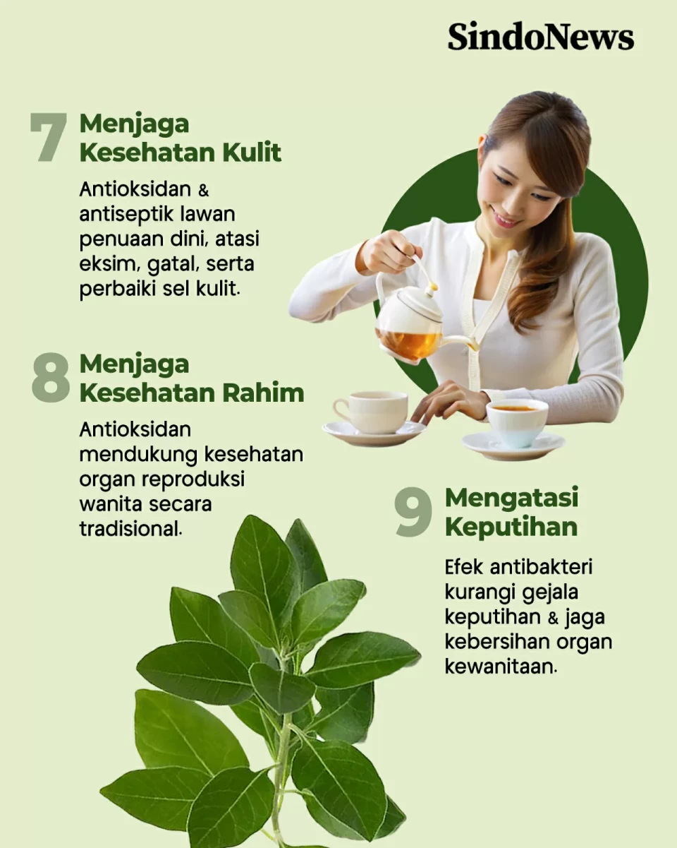 9 Manfaat Rebusan Daun...