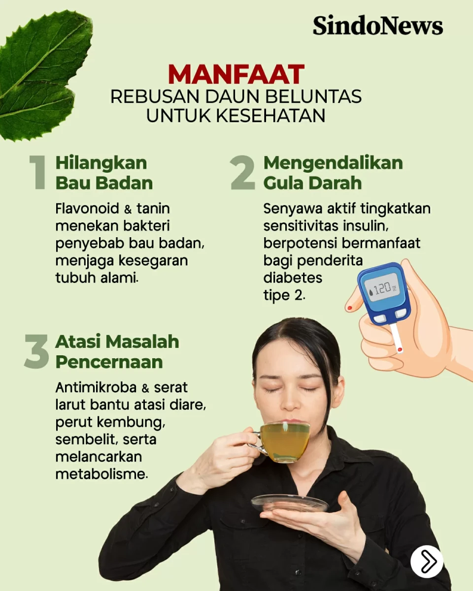 9 Manfaat Rebusan Daun...