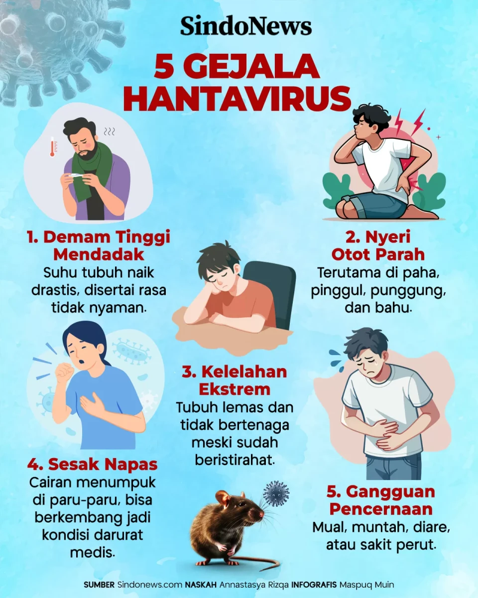 Virus Hanta Merebak!...
